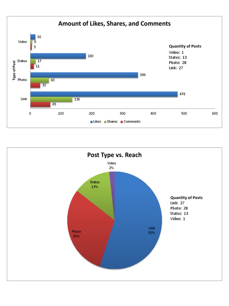 Facebook Analytics Charts | PDF