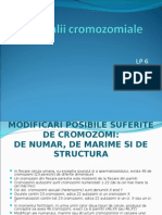 LP 6 Anomalii Cromozomiale