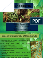 Pteridophyta: Characteristics and Classification