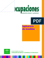 Tapicero de Muebles PDF