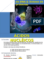 Biologia Molecular - Ácidos Nucleicos