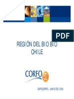 ExpoCORFO Biobio PDF