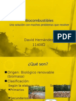 Bio Combustibles