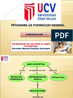 El Mapa Conceptual - 2010 - I