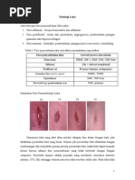 Download Perawatan Luka by ferinable SN262919435 doc pdf