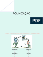 POLINIZAÇÃO