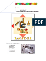 Proyecto Labo PDF