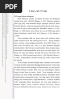 Download BAB II Tinjauan Pustaka by Michael Dayat SN262939014 doc pdf