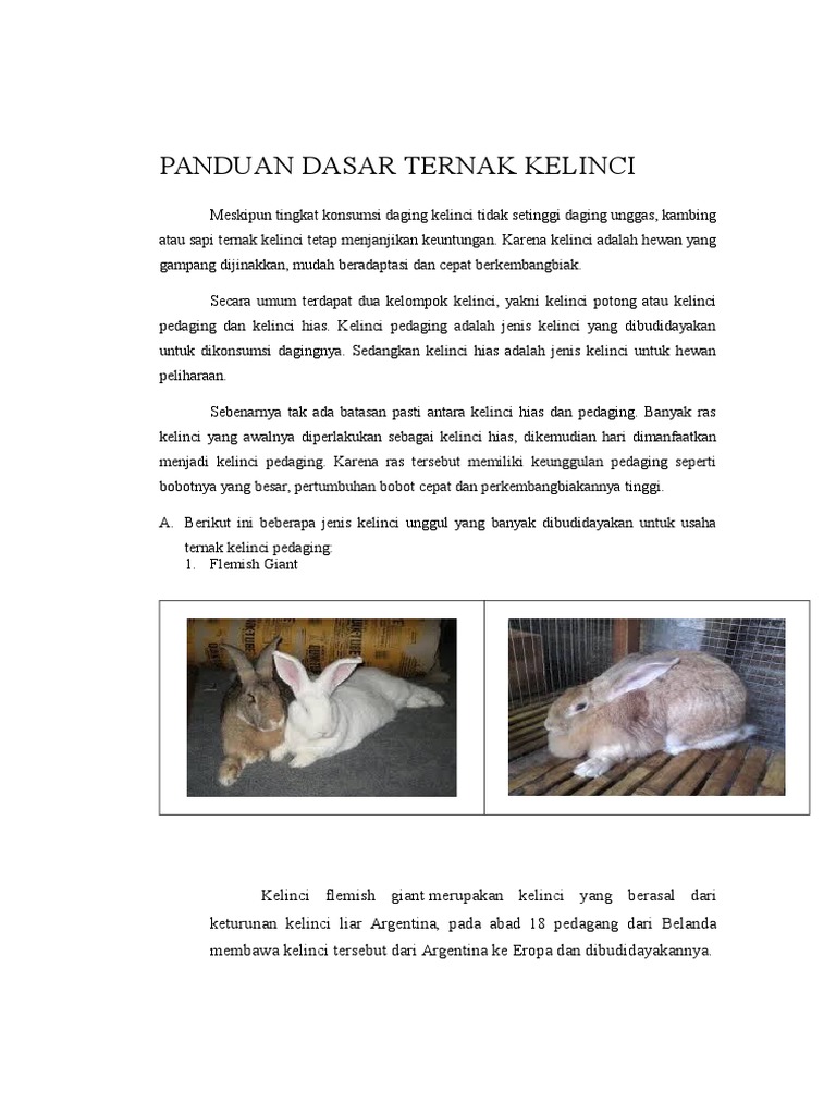 PANDUAN DASAR TERNAK KELINCI.doc