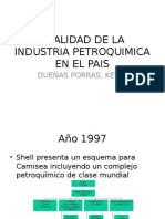 Realidad de La Industria Petroquimica en El Pais