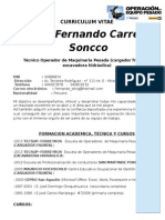 CV de Fernando Word