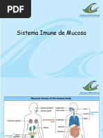 imunidade+de+mucosa.ppt