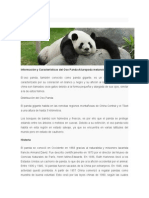 OSO PANDA