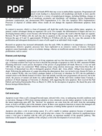 Download Apoptosis Apoptosis is the Process of Programmed by asokumr SN26297993 doc pdf
