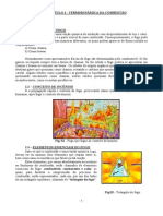 combustao resumido-conceitos.pdf