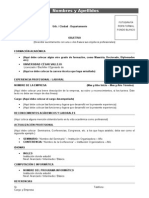 Formato Cv Bolsa de Trabajo