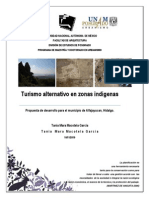 Tmo Alternativo PDF