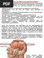 ANATOMIA MUSCULOS MASTICADORES, NERVIO TRIGEMINO