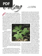 Download Ginseng by tenzing SN263005904 doc pdf