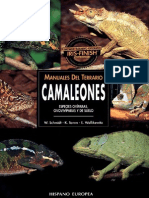Animales Manuales de Terrario Camaleones