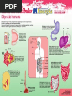 Ficha Resumo de Biologia