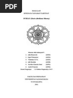 Download 9 Makalah Durian by Sheena T Gabriela Rombang SN263011747 doc pdf