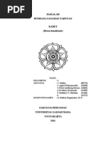 Download 1_Makalah_Karet by Sheena T Gabriela Rombang SN263011752 doc pdf