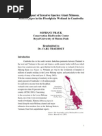 Download The Impact of Invasive Species Mimosa Pigra in Cambodia by Sophany Phauk SN26301879 doc pdf