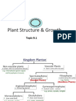 Plant Structure Growth