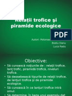 Prezentare Relatii Trofice Si Piramide Ecologice