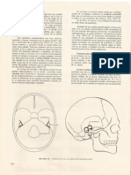 (Bustamante, 1978) Neuroanatomía Funcional - 24b.aparato Vestibular