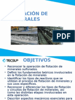 Proceso de flotación de minerales