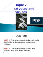 Topic 7 Prokaryotes and Viruses