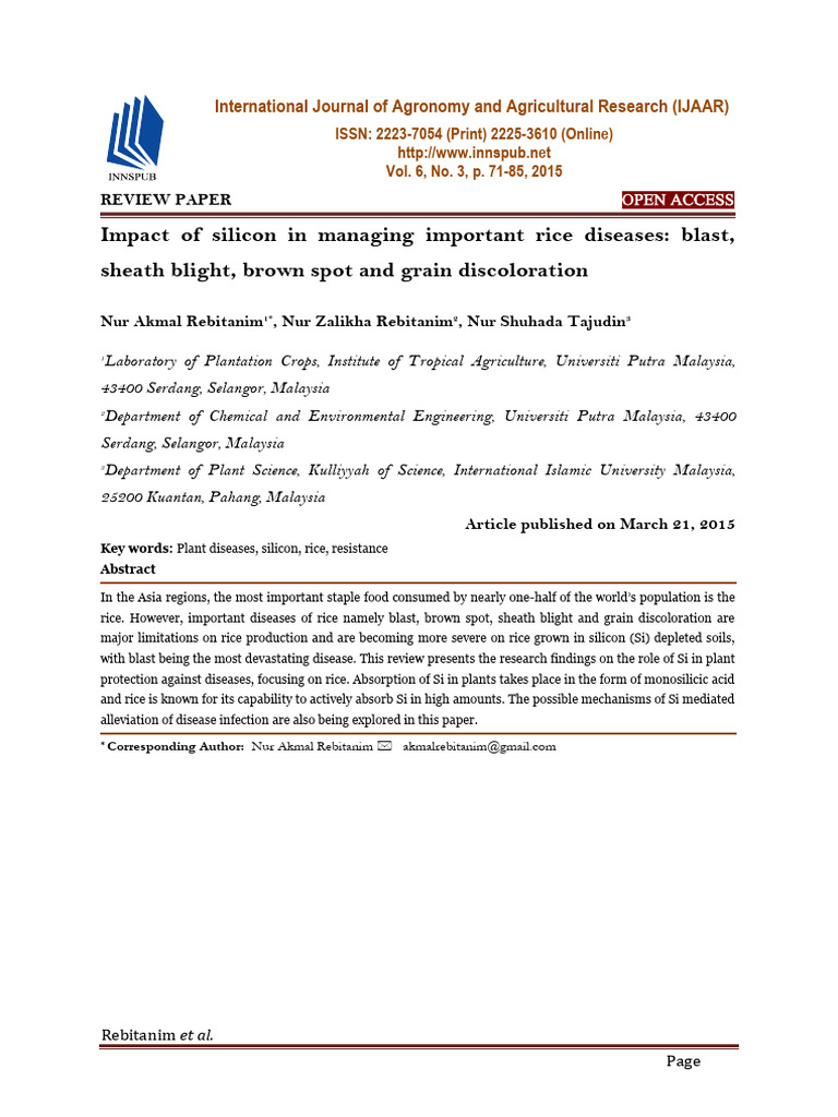 Impact of silicon in managing important rice diseases blast, sheath