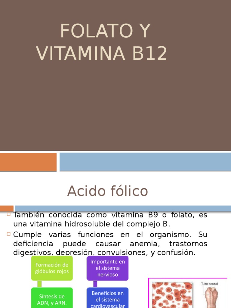 Folato Y Vitamina B12 PDF Ácido fólico Dieta y nutrición