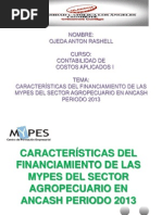CARACTERÍSTICAS DEL FINANCIAMIENTO DE LAS MYPES DEL SECTOR.pdf