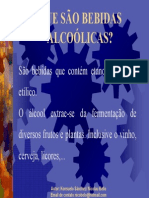 Bebidas Alcoolicas.pdf