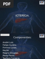U1 - Grupo E - Icterícia.ppt