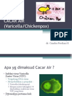 Cacar Air