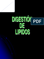 Lípidos - Digestión y Absorción PDF