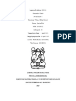 Laporan Praktikum KI2241 Volume Molar Parsial