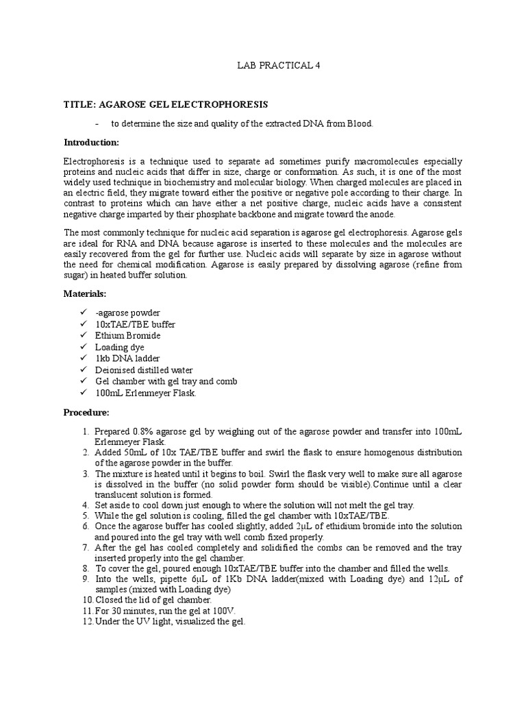 Lab Practical 4gel Electrophoresis PDF Agarose Gel Electrophoresis