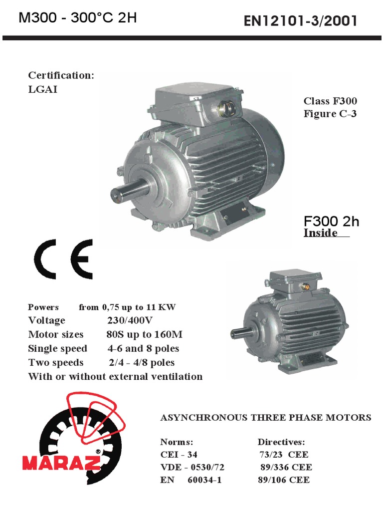 Maraz Motor Technical Data Overview | PDF