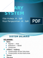 Biliary System: Otje Hudaja, DR., SPB Roys Pangayoman, DR., SPB