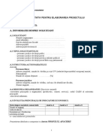 Managementul Proiectelor- Structura Proiect