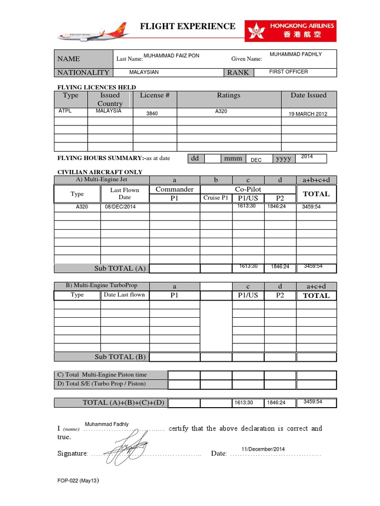 Flight Experience Summary for Pilots | PDF