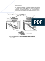 P5 - Struktura Timova