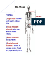 vertebral column lecturef.pdf