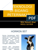 Bioteknologi Di Bidang Peternakan